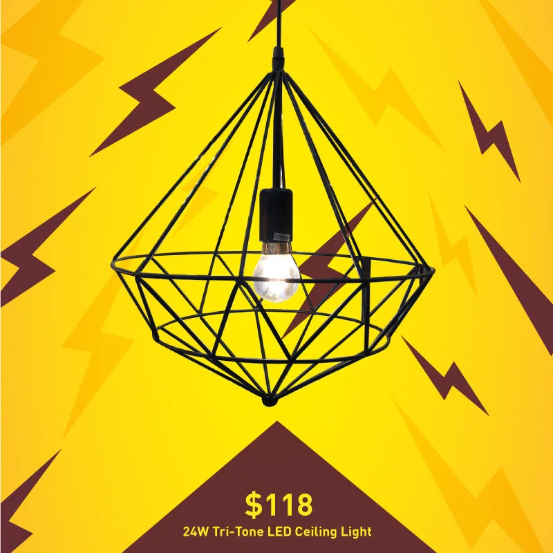 Pyramid Black Cage Hanging Light