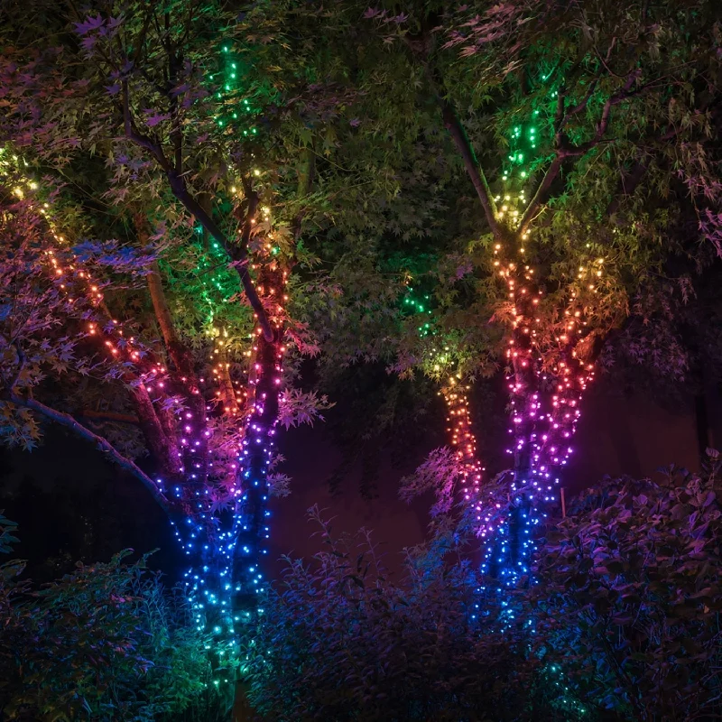 LED String Lights with Warm White Glow20m 250 LED Twinkly Smart App Controlled String Lights Multi Coloured & White Edition LED String Lights with Warm White Glow20m 250 LED Twinkly Smart App Controlled String Lights Multi Coloured & White Edition