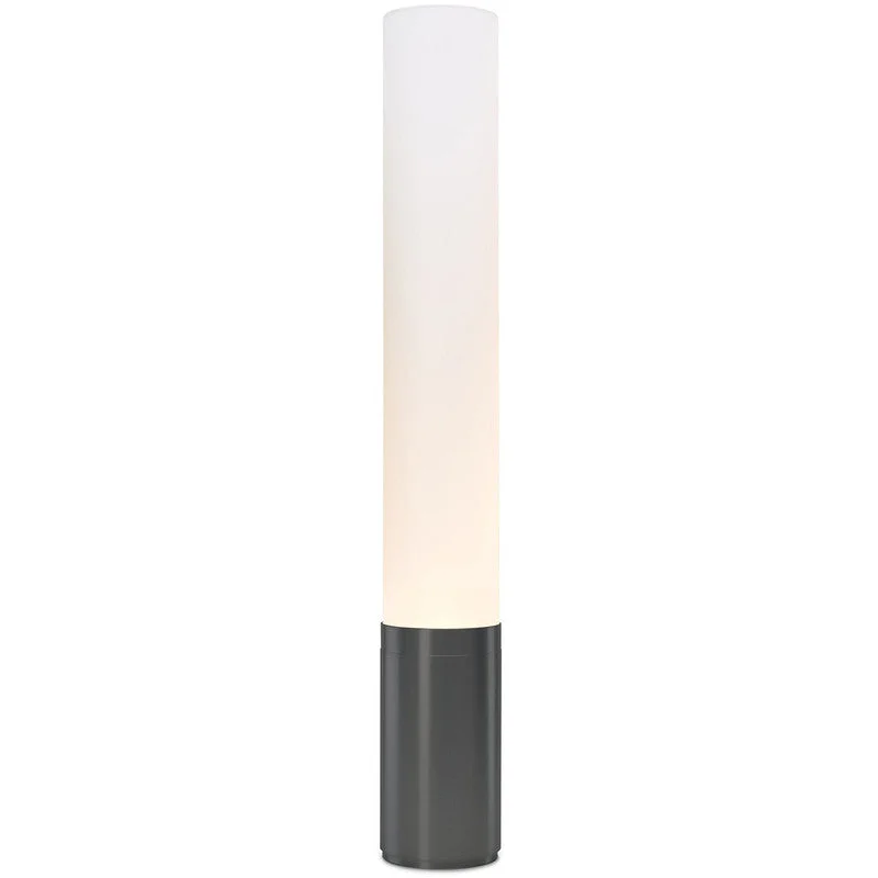 Dimmable Floor Lamp for Adjustable Lighting AmbianceElise Floor Lamp 32"