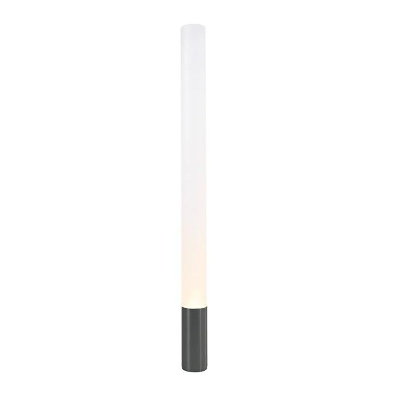 Smart Floor Lamp with Voice Control and Bluetooth ConnectivityElise Floor Lamp 60"