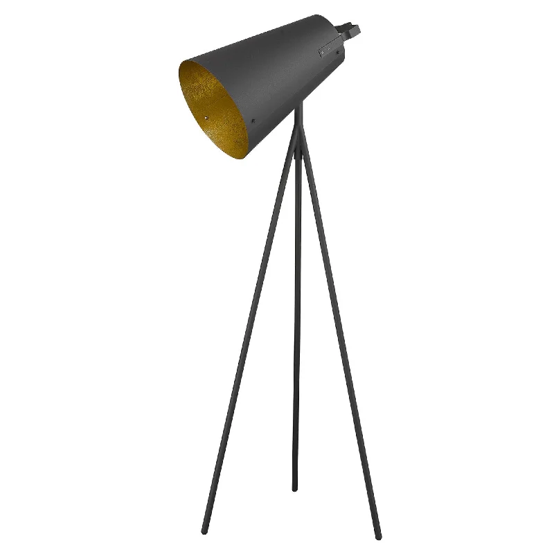 Wood Floor Lamp with Natural Grain for a Warm and Organic FeelFaza 1-Light Matte Black Floor Lamp By Homeroots Wood Floor Lamp with Natural Grain for a Warm and Organic FeelFaza 1-Light Matte Black Floor Lamp By Homeroots
