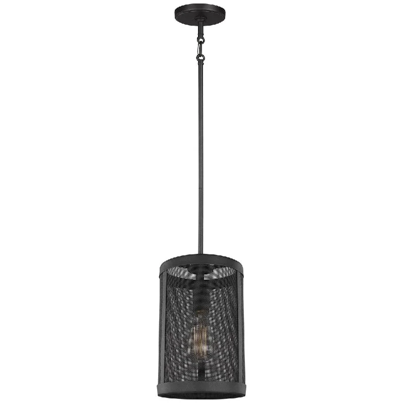 Metal Ceiling Lights in Brass, Copper, Stainless Steel, and IronSea Gull Lighting Gereon 1-Light Mini-Pendant